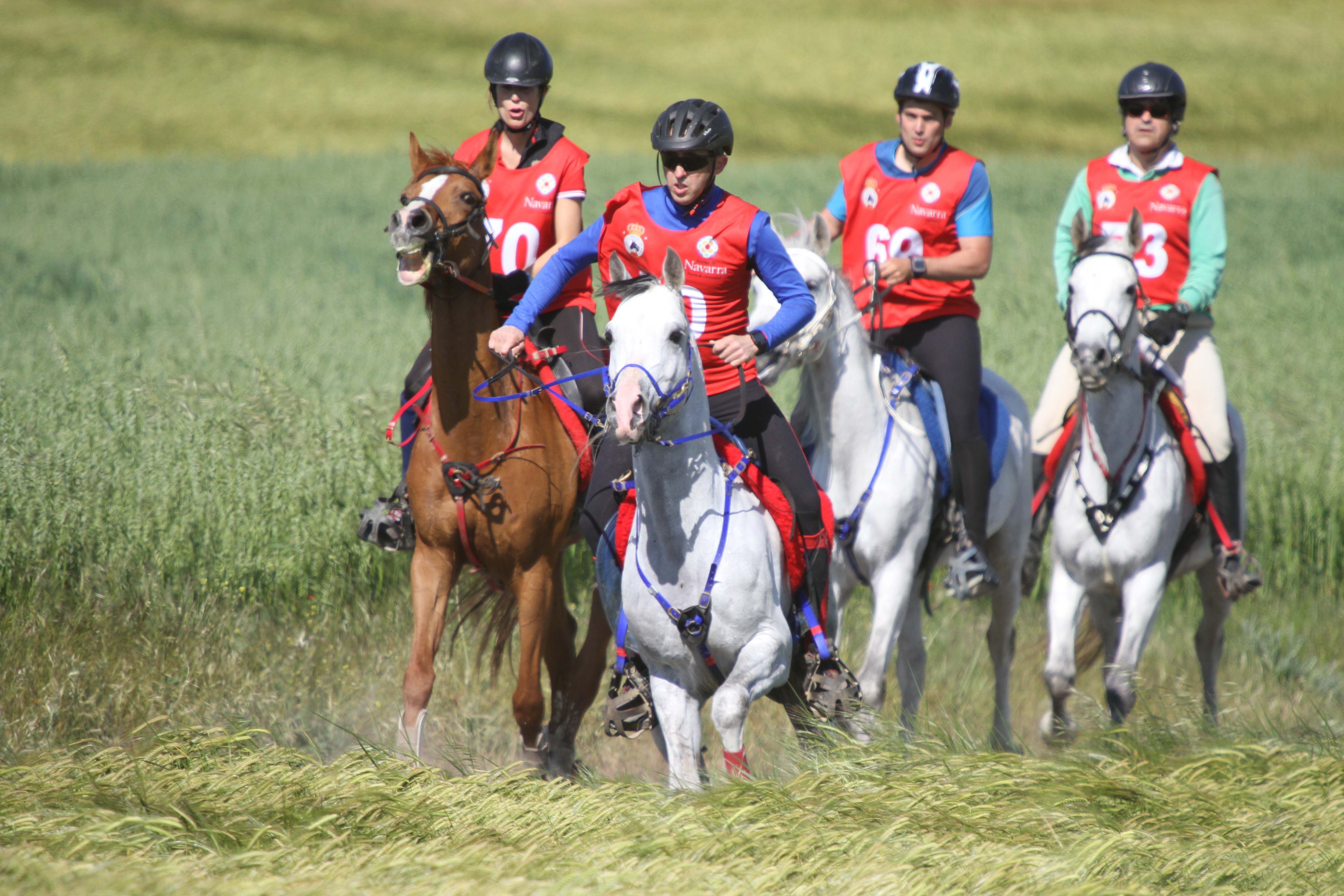 Campeonato Navarro de Raid CEN*,CET0*, CET60 km y CET40 km, en Pitillas el 18 de mayo